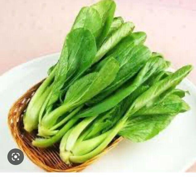 Shanghai Cabbage