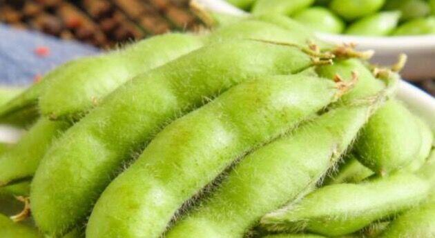 Edamame